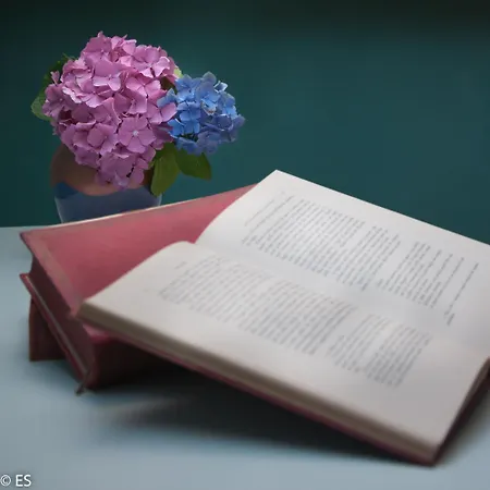 Casa Della Musica Alojamento de Acomodação e Pequeno-almoço